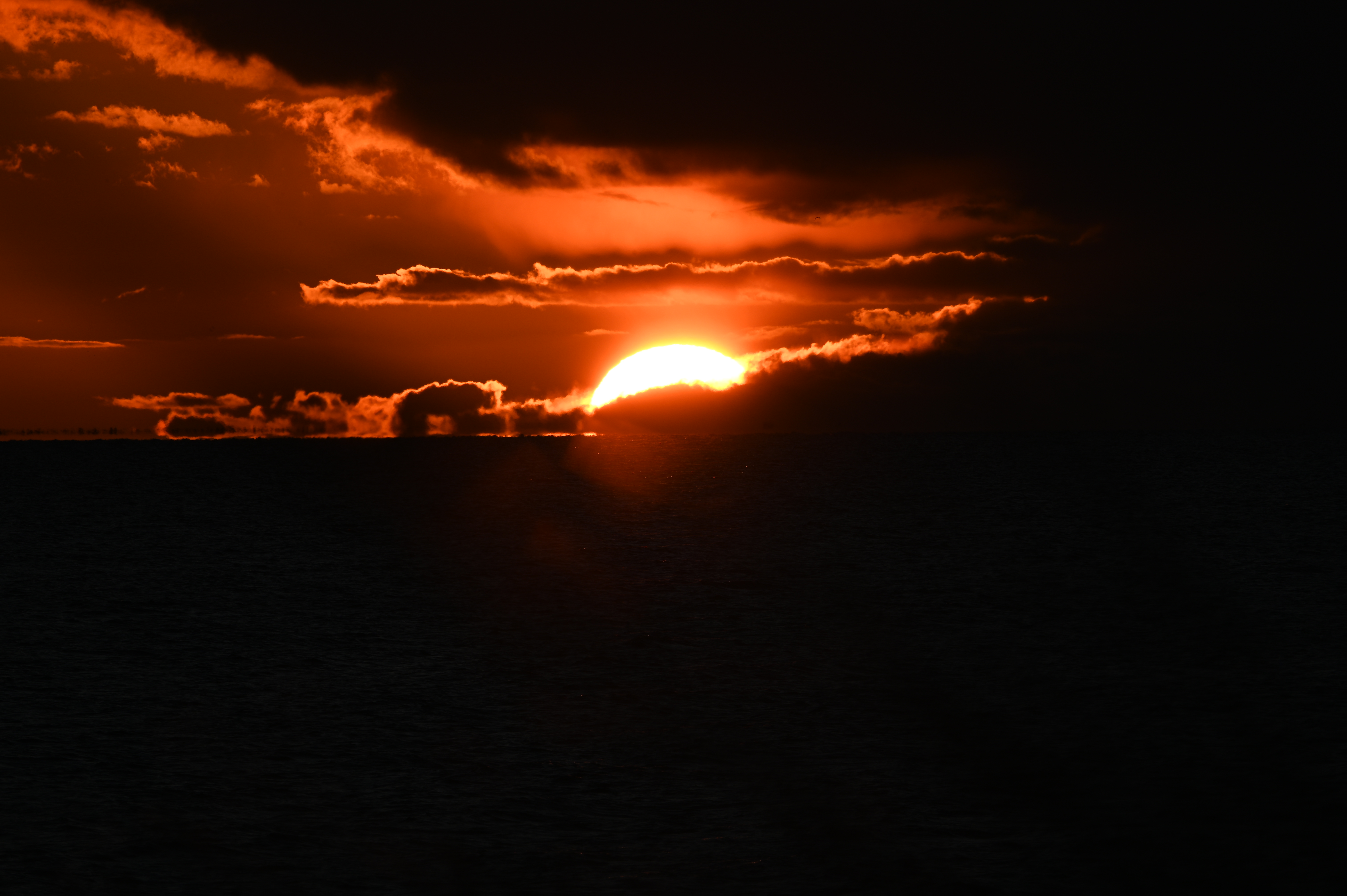 2025/10/18 - walk/DSC_0490.JPG